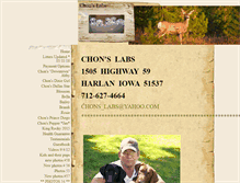 Tablet Screenshot of chons-labs.com